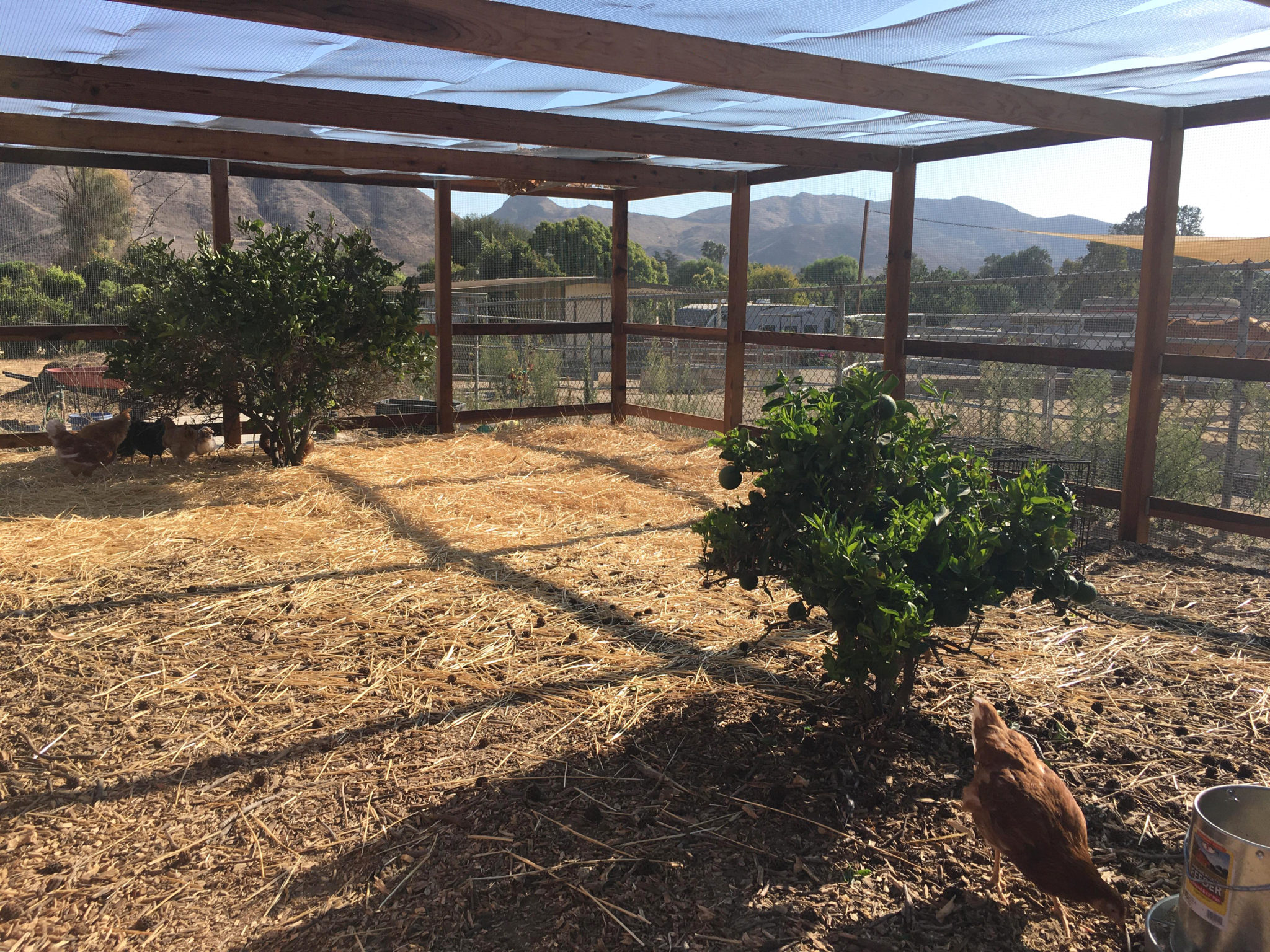 Chicken run project, 2020 – Hanno's Garden